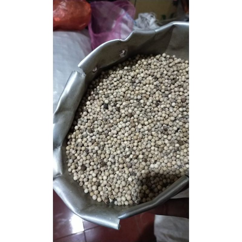 

Lada putih / white pepper / lada / merica 100 gram