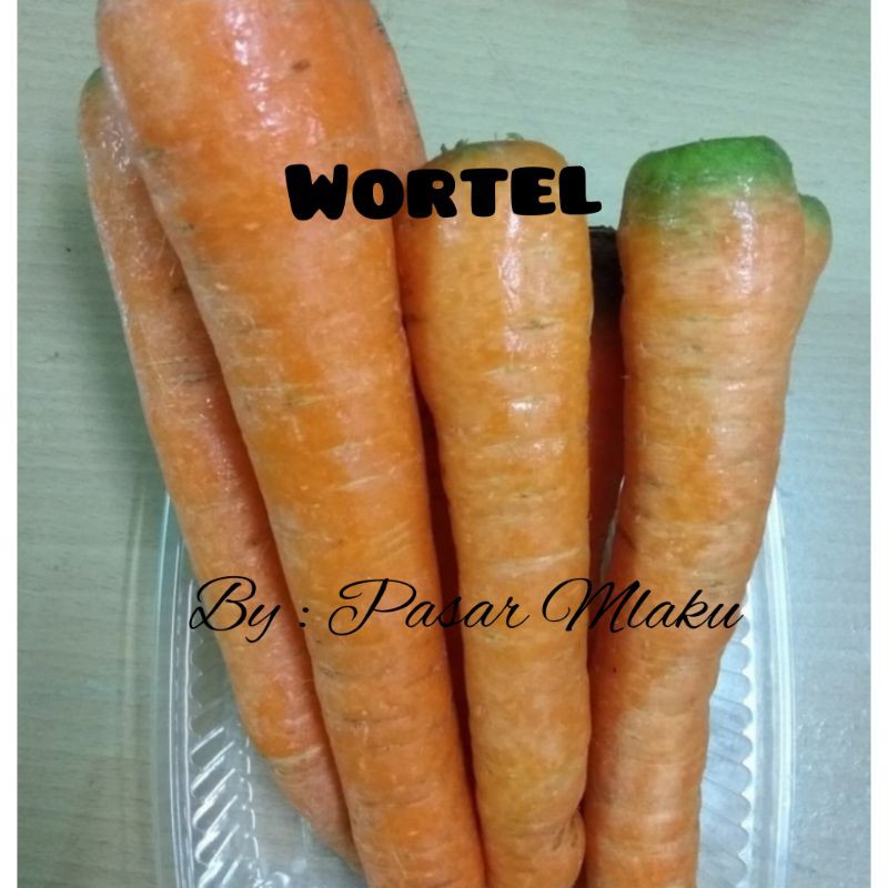 

WORTEL LOKAL