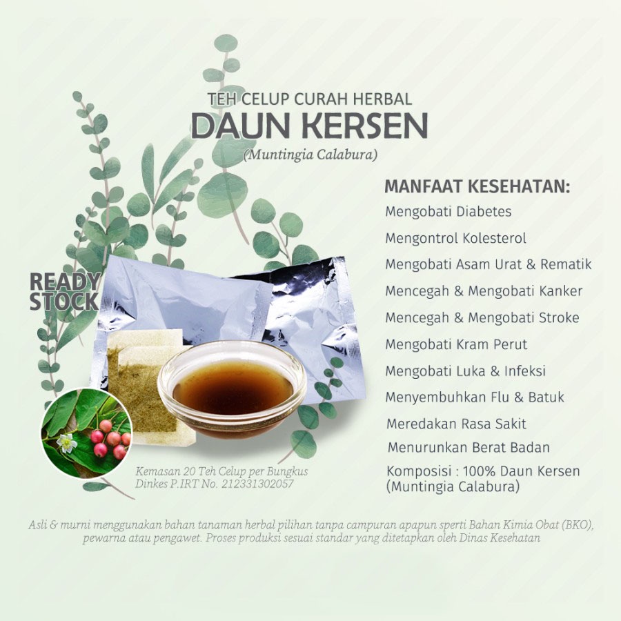 

Teh Celup Herbal DAUN KERSEN (Muntingia Calabura, Ceri, Talok) untuk Diabetes, Stroke, Rematik, dan Luka