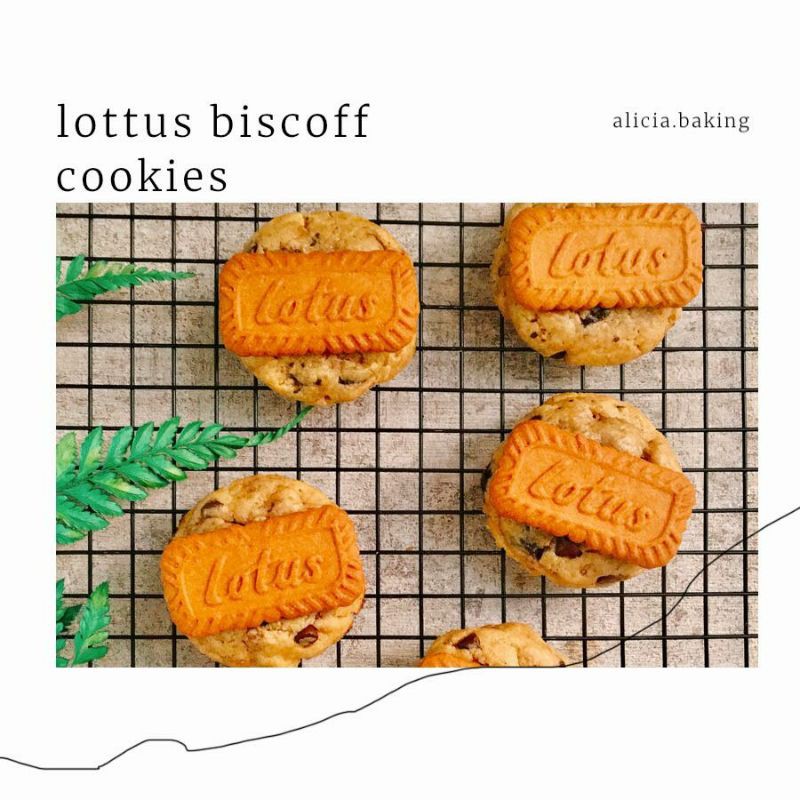 

LOTUS BISCOFF SOFT COOKIES