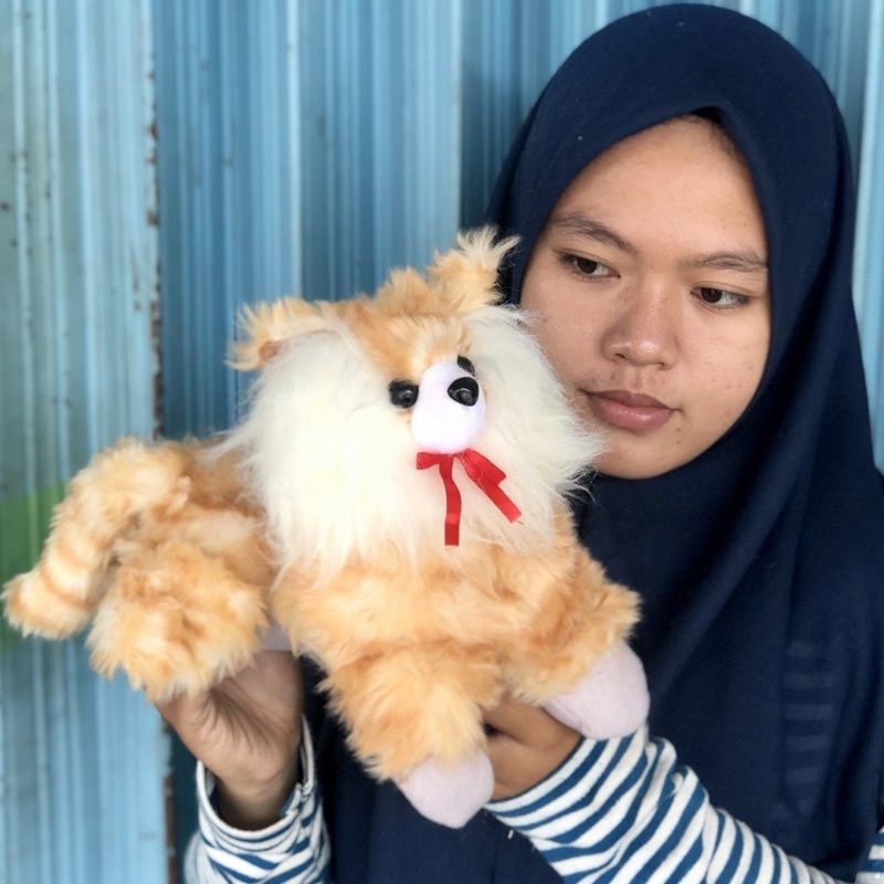 Boneka Kucing Anggora Lucu SNI