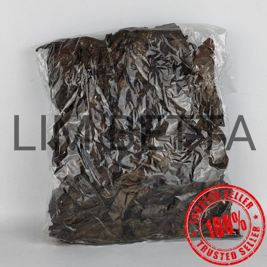 100 GRAM DAUN KETAPANG LAUT / DAUN KETAPANG LAUT ORIGINAL