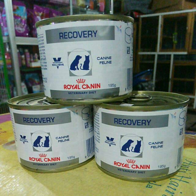 Makanan Kucing Wet Food Royal Canin Recovery Shopee Indonesia