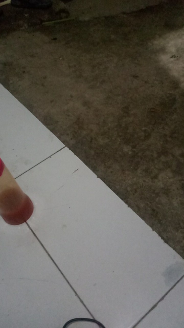 Selang Air 1/2 Permeter / Selang Air Taman / Transparan Hose / Selang Berbagai Inch / Gemuk