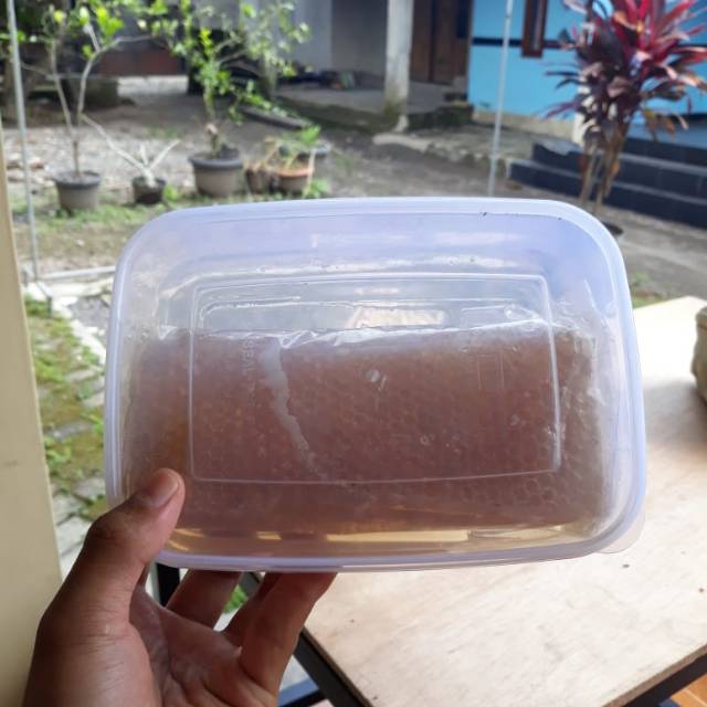 

Madu Sarang