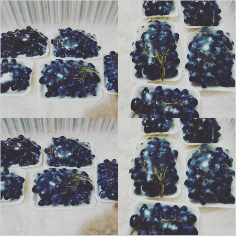 

angggur hitam autum
