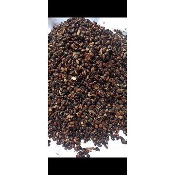 

Ampas Kecap(Tauco) Banteng khas cirebon
