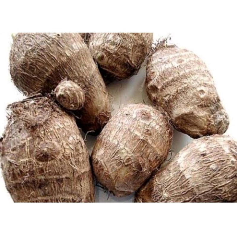 

TaLes/kimpuL 1000gram