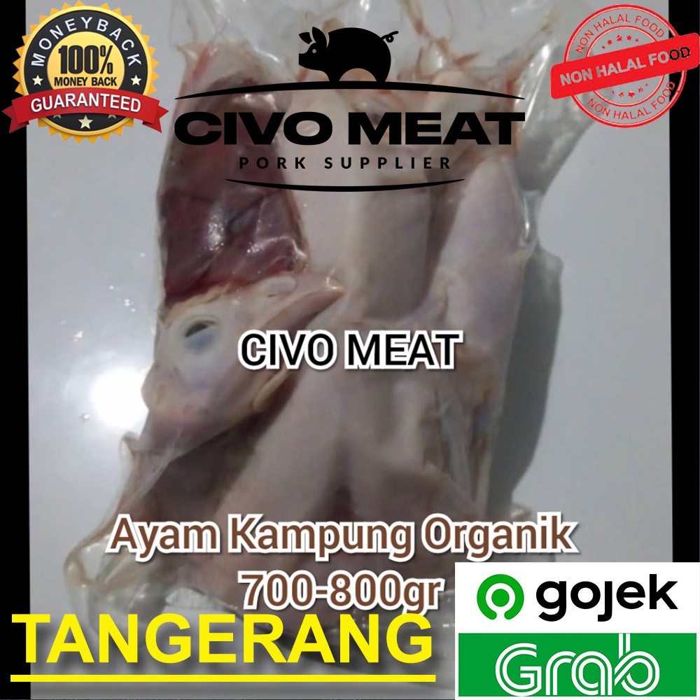 Ayam Kampung ORGANIK 1ekor 700-800gr Frozen - Dijamin Bersih NO BULU