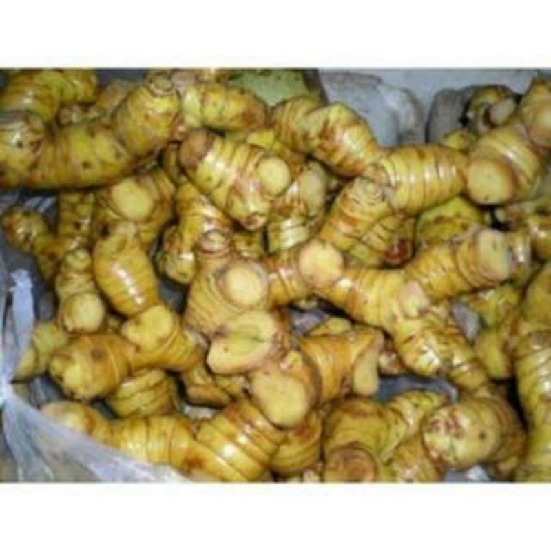 

lengkuasmurah/laos,500gram4500