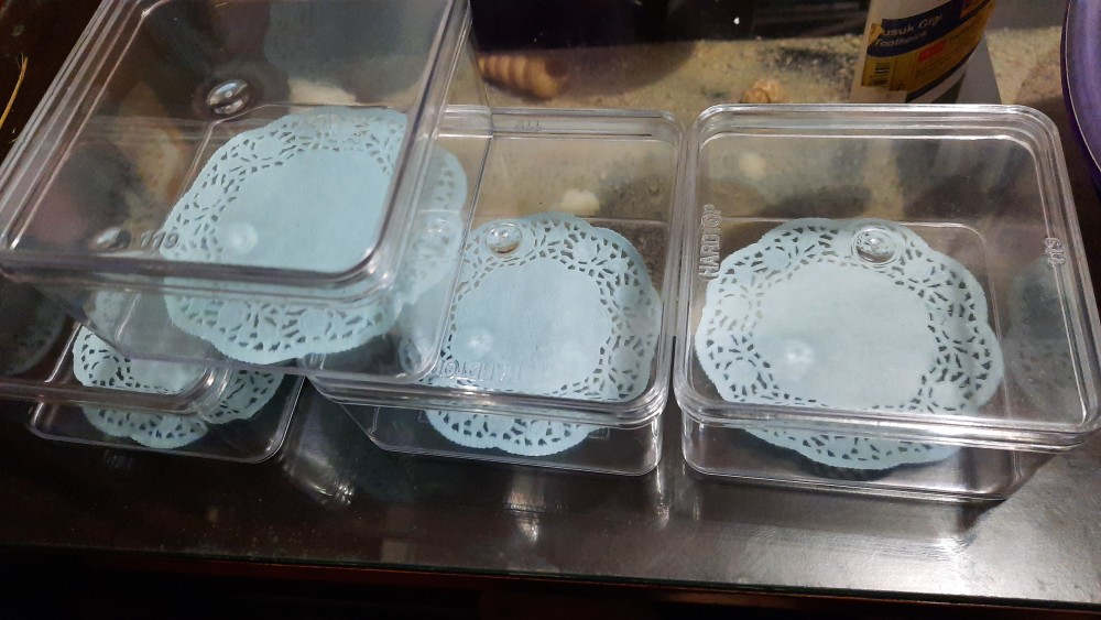 Eceran Kotak Kosong Dessert Box Tiramisu Cup Puding Kotak 9x9x5cm Minimum Beli 4 Kotak