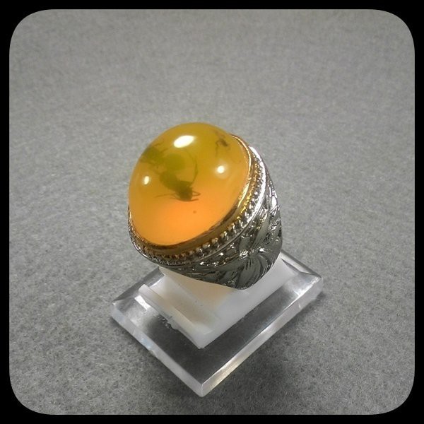 CINCIN FOSIL AMBER SEPAH SEMUT HQ