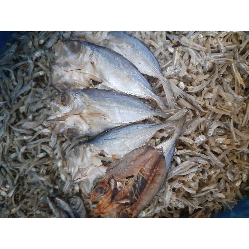 

Ikan Asin Belah Selar/Buncilak/Ikan Asin Sibolga/Ikan Asin Medan/100gr