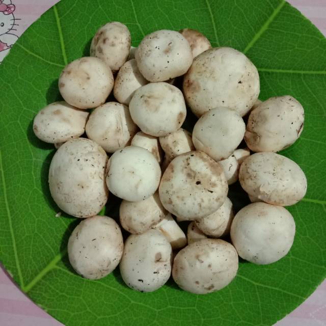 

Jamur kancing 200 gr
