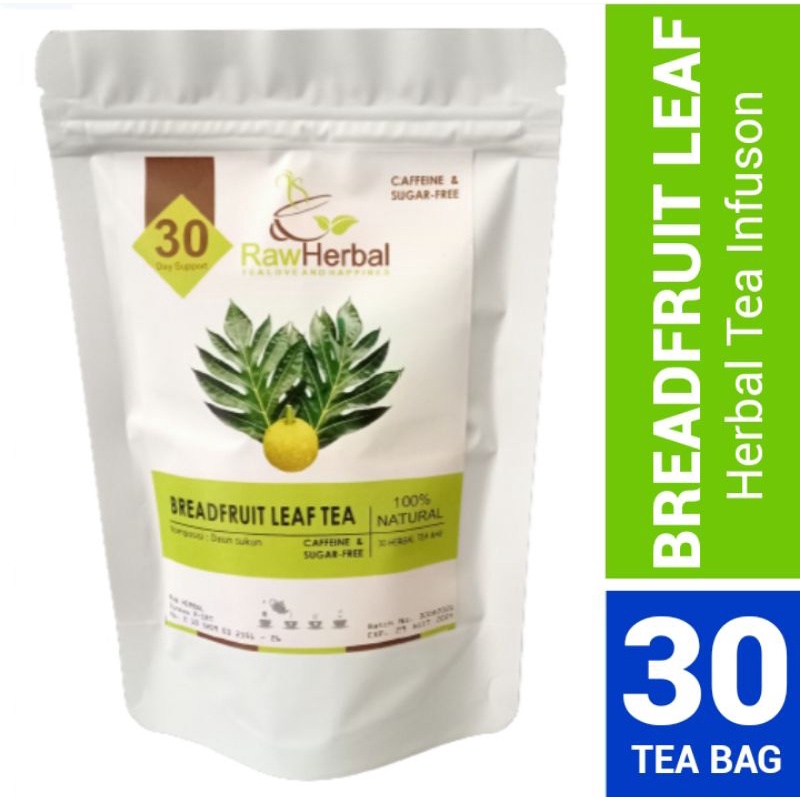 BREADFRUIT LEAF TEA : TEH DAUN SUKUN ORIGINAL ISI 30 TEA BAG