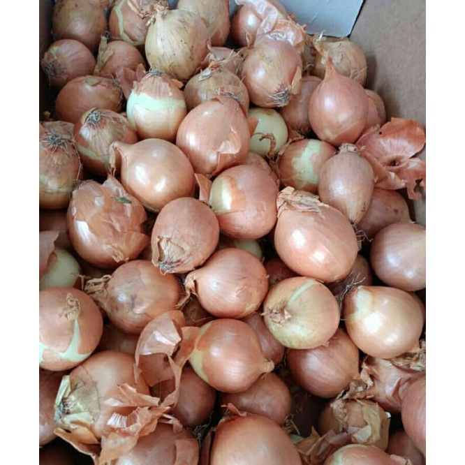 

Bawang Bombay 1kg