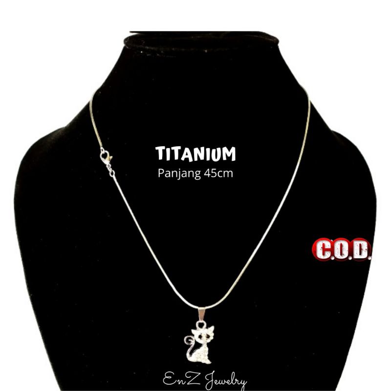 Kalung Titanium dan Liontin Wanita Pria Anti Karat dan Tidak Luntur Terbaru Silver