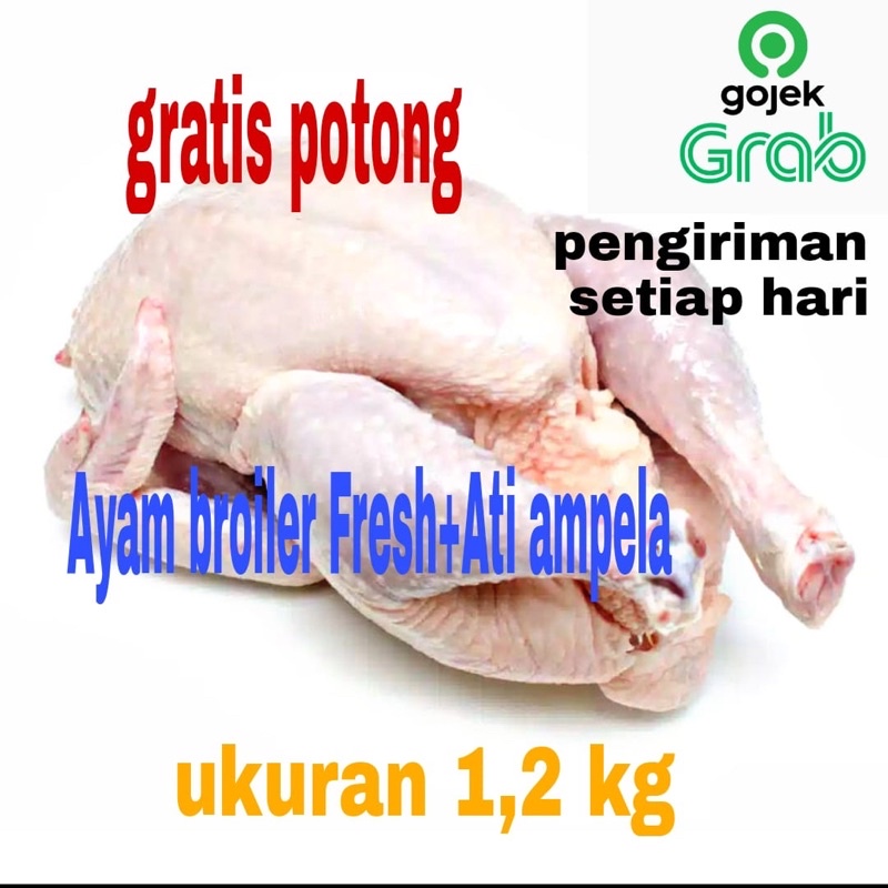 

ayam potong/ayam segar/ayam broiler