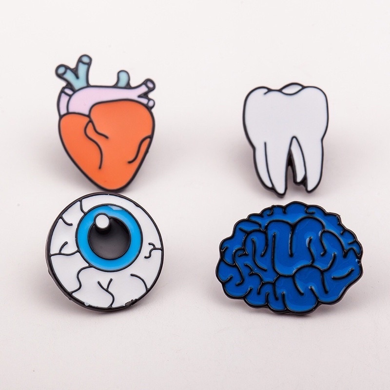 Bros Organ Bros Anatomi