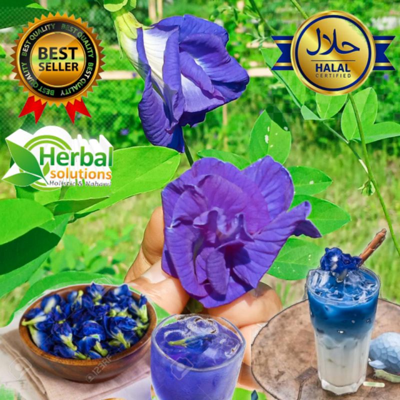 

TERMURAH! BUNGA TELANG TUMPUK GREAD A 20 gram kemasan pouch.kembang telang,butterfly pea.