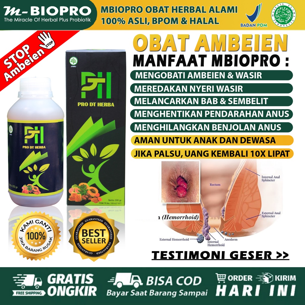 PRO DT HERBA Non Obat ambeien paling ampuh dewasa, Obat ambeien paling ampuh stadium 4, Obat ambeien