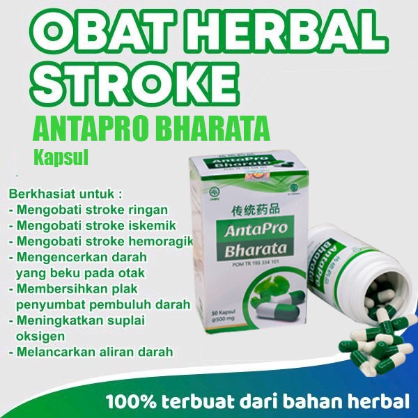 OBAT STROKE | gejala | terapi stroke, ringan dan berat ANTAPRO BHARATA