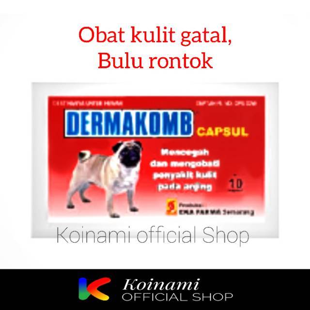 Obat untuk anjing gatal