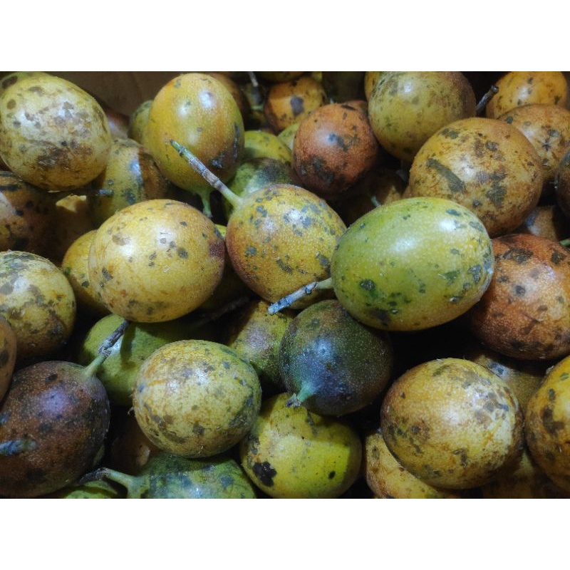 

konyal 500 gram