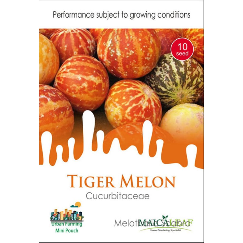 Benih Melon Tiger/Bibit Buah Melon isi 10 Benih