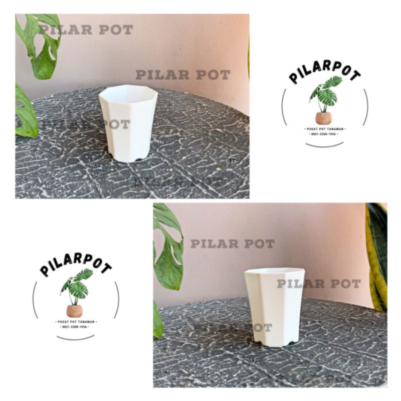 POT BUNGA TANAMAN MINI NKT PAGODA 5 PUTIH - NKT PAGODA 5 PUTIH