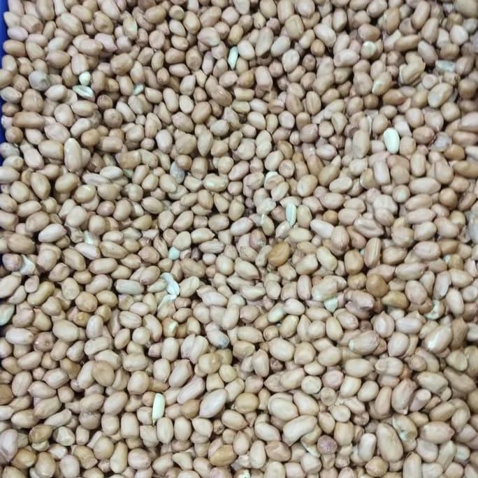 

Kacang Tanah Tuban 500 Gram, Setengah Kilo Dafa.Olshop