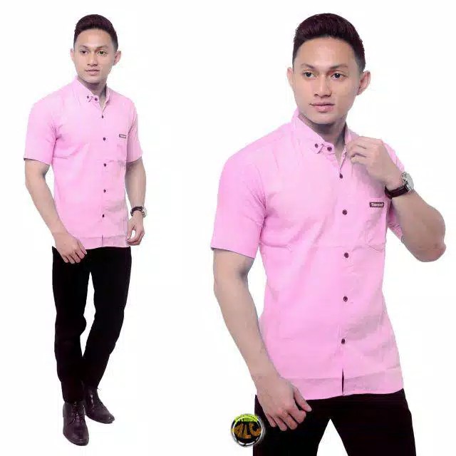 Kemeja Pria Polos Fashion Maikel Katun Strit LD100 PJ70 Allsize M L XL Kerja Formal