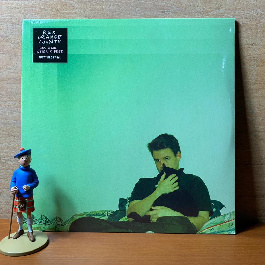 PIRINGAN HITAM / VINYL REX ORANGE COUNTY - BCOS U WILL NEVER B FREE