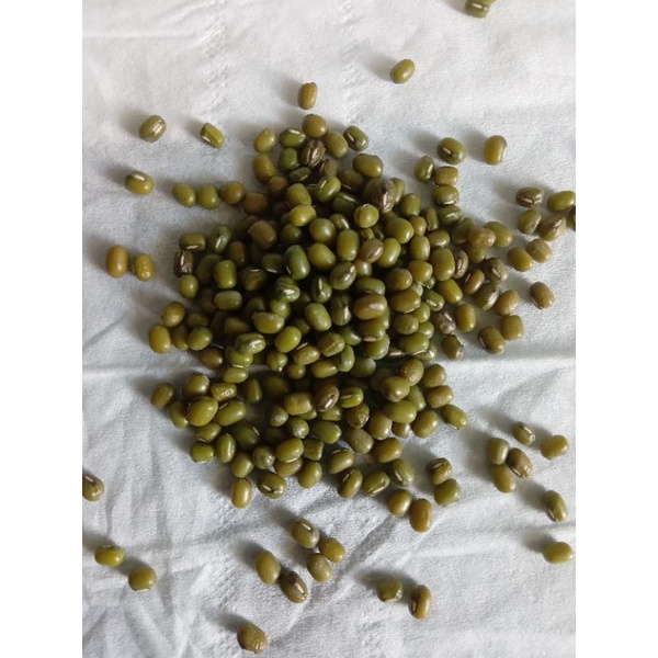 

KACANG HIJAU / KACANG IJO