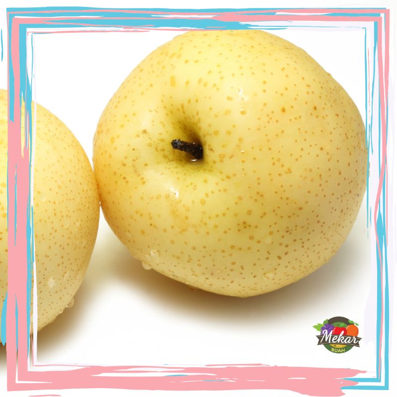 

Pear century banyak air dan manis fresh 1kg