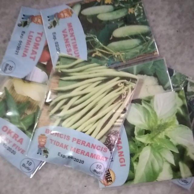 Benih Biji Bibit Buncis Tidak Merambat