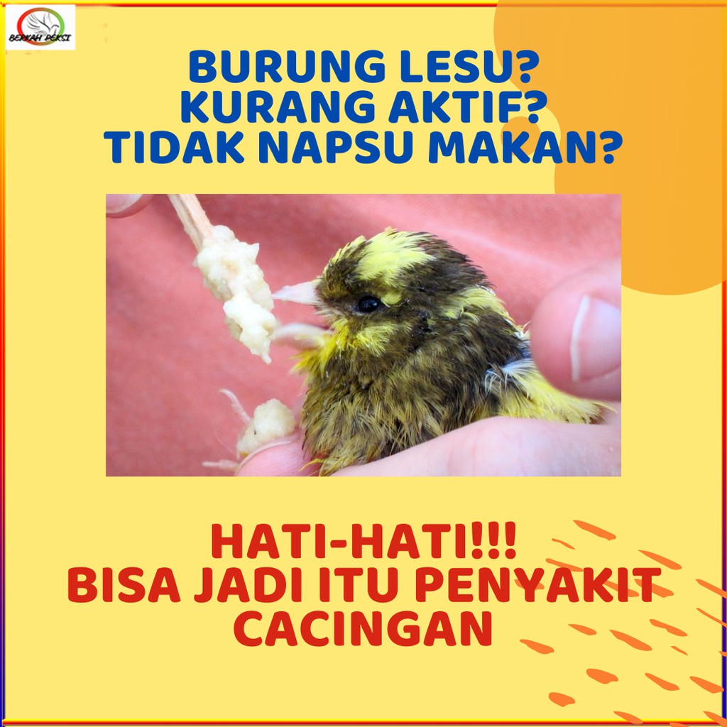 Jual Obat Cacing Untuk Ayam Dan Burung Kab Bogor Sutami Chicken Farm Suplement Tokopedia