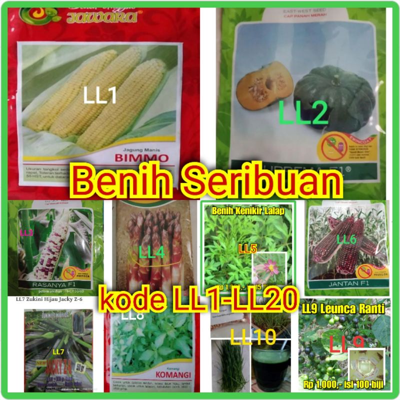 Jual Bibit Biji Benih Jagung Manis Labu Besar Pumpkin Zukini Kemangi