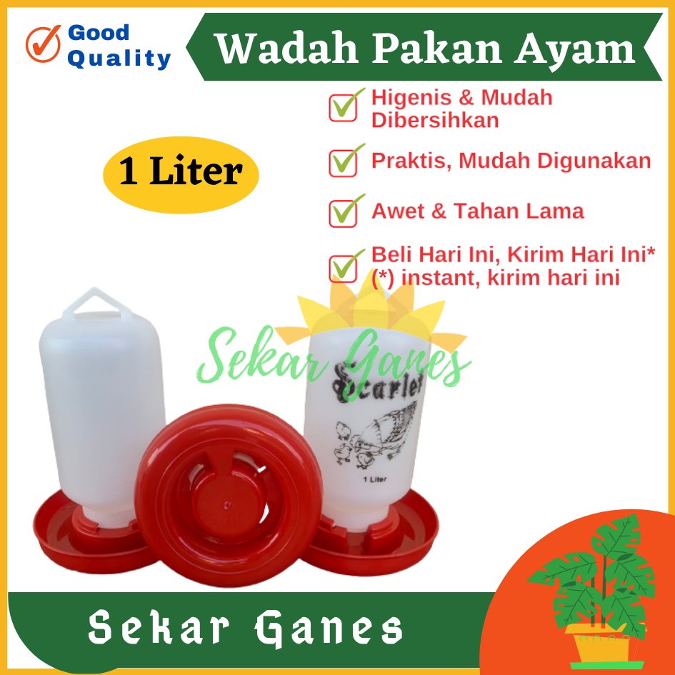 Tempat Makan Ayam Kapasitas 1 Liter 1 Kg SCARLET Wadah Pakan Ayam Anti Tumpah Ransum Wadah Makan Ayam Anakan Plastik 1 Kg - TEMPAT MAKAN AYAM / RANSUM / TRA1K MEDION KAPASITAS 1KG WADAH PAKAN AYAM TERMURAH BAHAN PLASTIK BAGUS