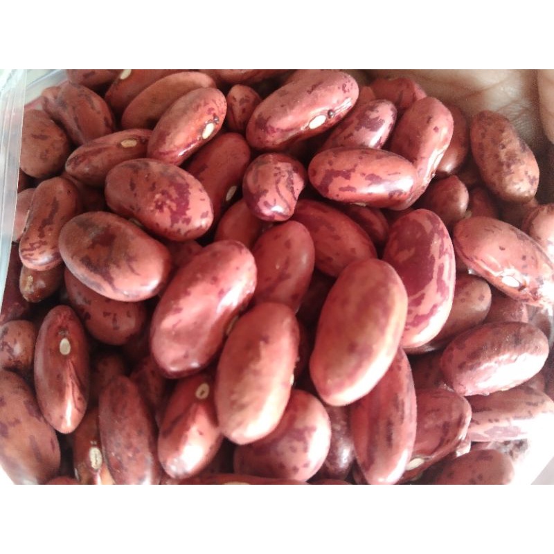 

kacang merah/brenebon/read beans500gr