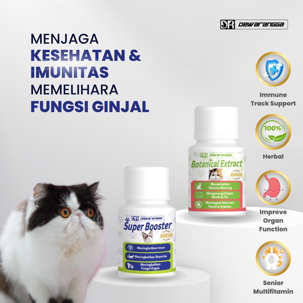 Dewarangga Paket Vitamin Kucing PERAWATAN KUCING TUA untuk Menjaga Kesehatan, Imunitas, Sendi, Fungsi Ginjal dan Fungsi Organ