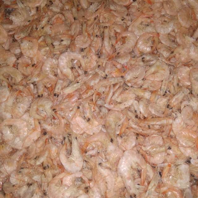 

Udang manis kering isi 250 gram