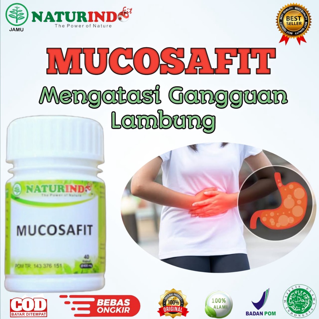 Obat Asam Lambung Maag Gerd Herbal Paling Ampuh