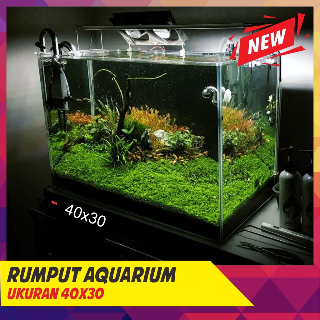 Rumput Sintetis Aquarium 40x30 , Dekorasi Rumput Aquarium, Rumput Aquarium Cupang , Rumput Asecoris 