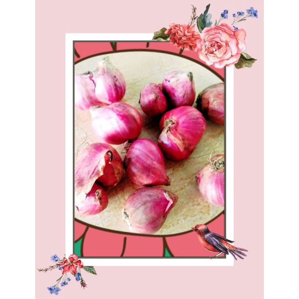 

bawang merah / brambang / bawang super / bawang murah kebumen