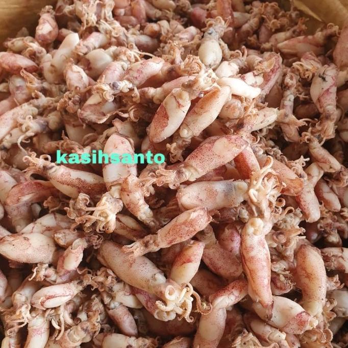 

ikan asin Beby cumi-500gram