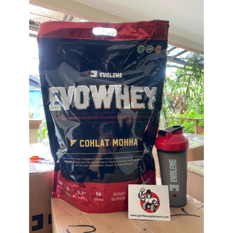 Evolene EvoWhey 50 Sachet Rasa Coklat Moka 1750 Gram Evolene Whey Protein BPOM Evo Whey