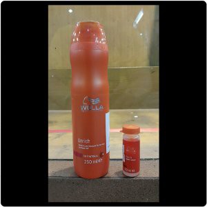 Jual PROMO WELLA professional Shampoo for dry   damage hair 250ml Murah