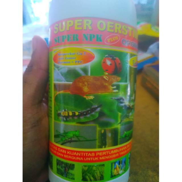 Pengusir tikus SUPER OERSTIND 500ml