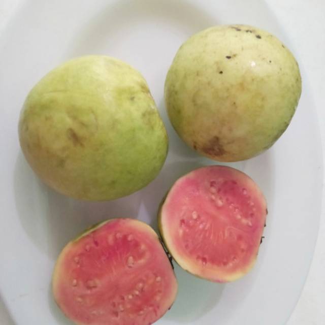 

Buah jambu biji merah